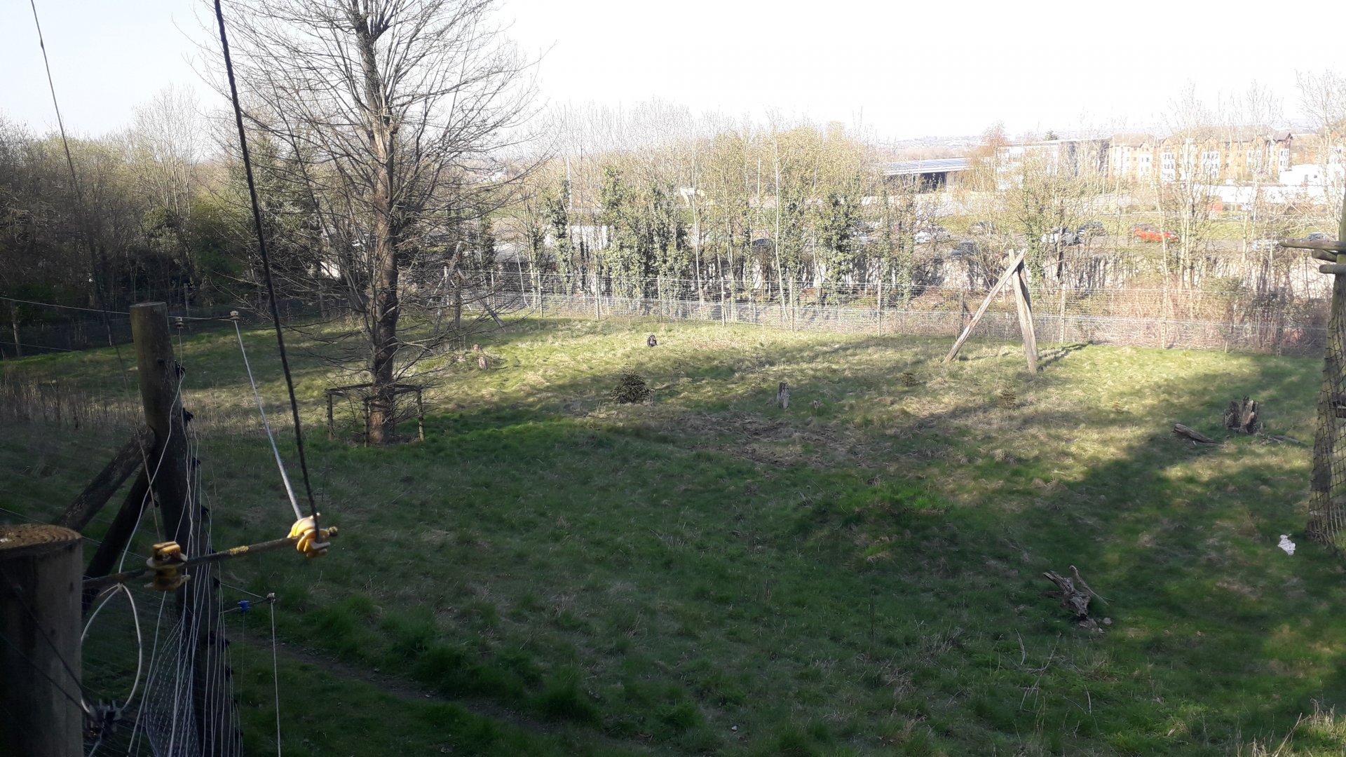 Chimpanzee Outdoor Enclosure