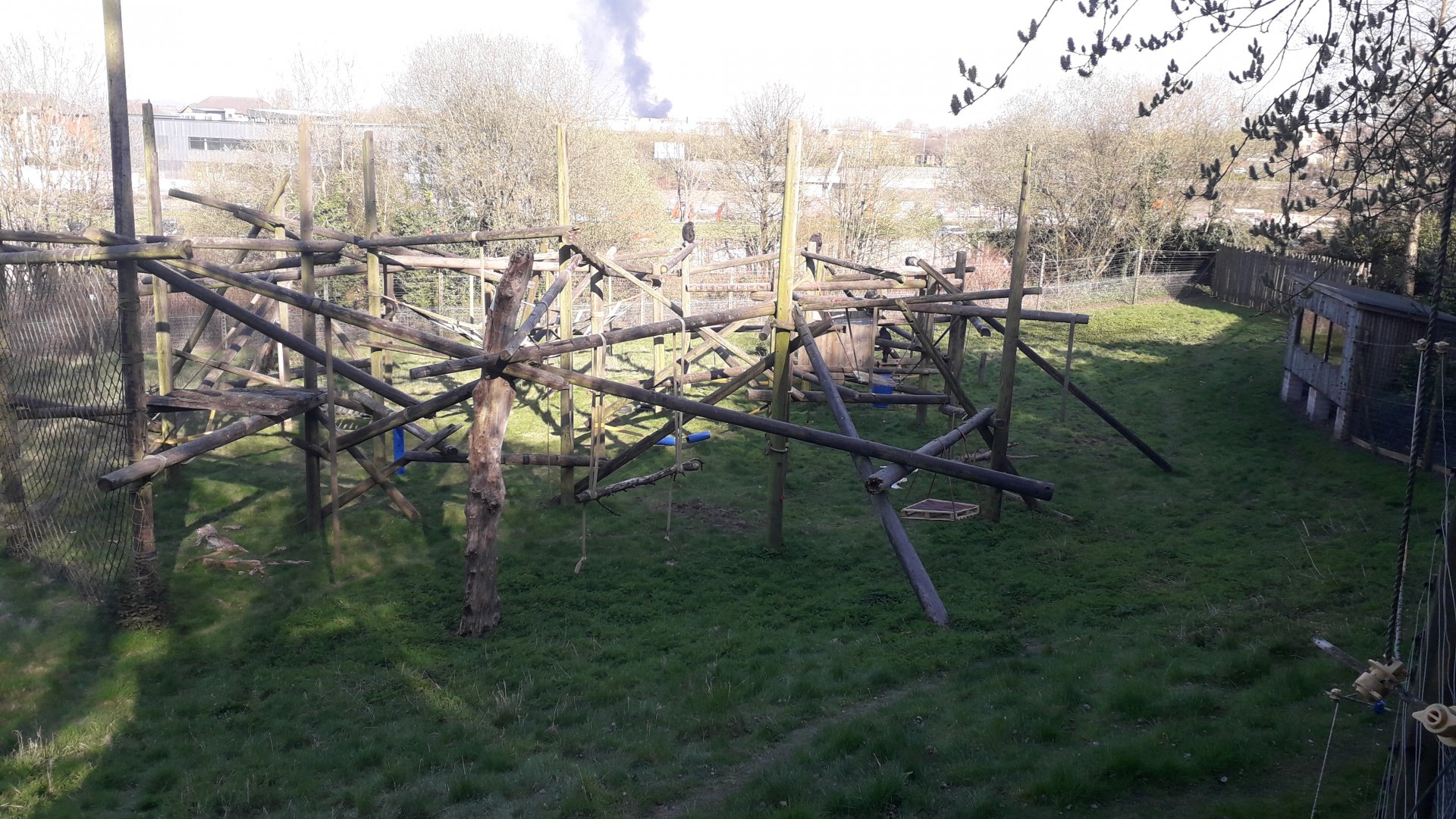 Chimpanzee Outdoor Enclosure