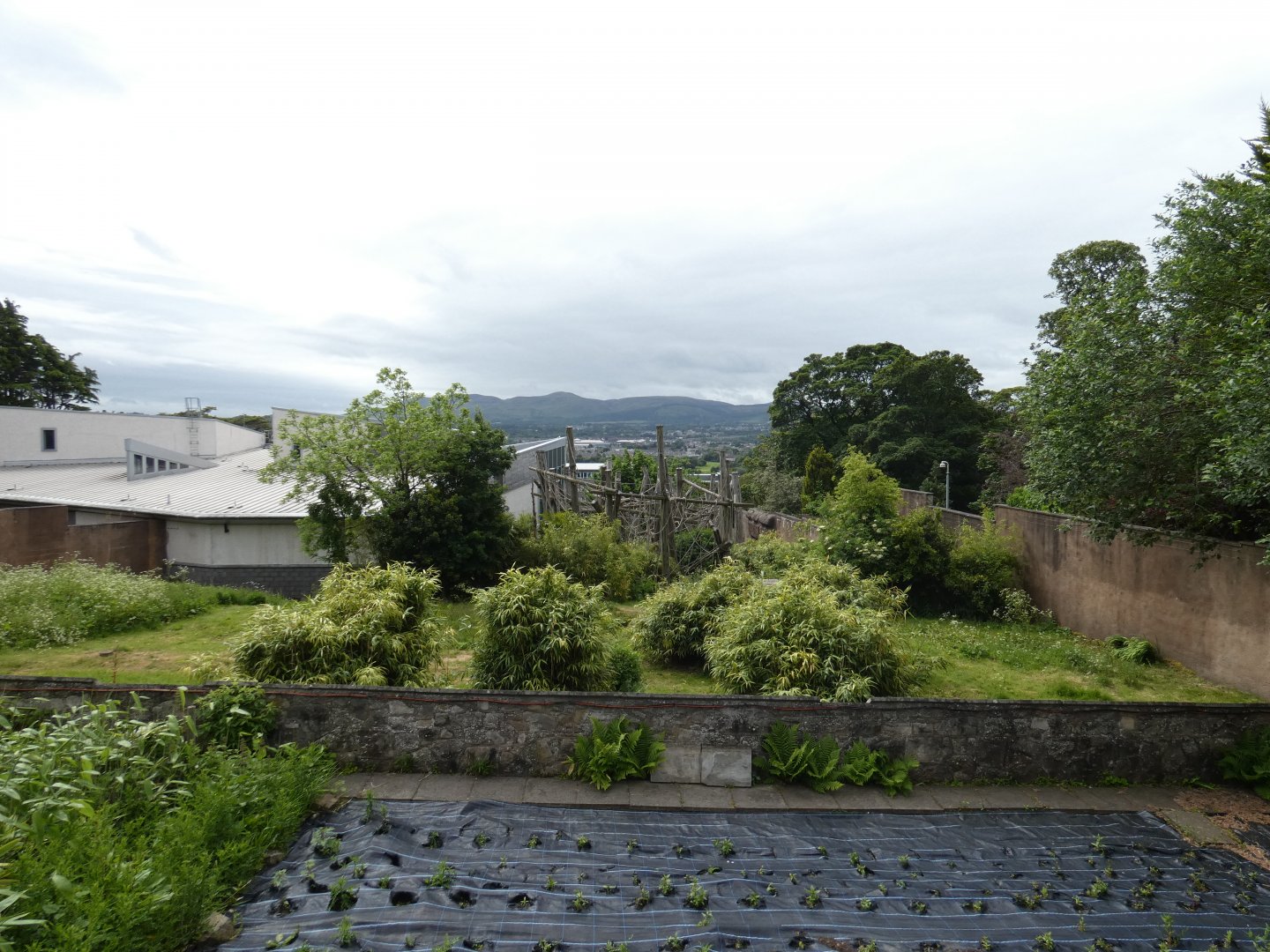 Chimpanzee outdoor enclosure