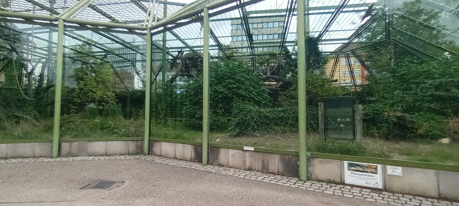 Chimpanzee Outdoor Enclosure