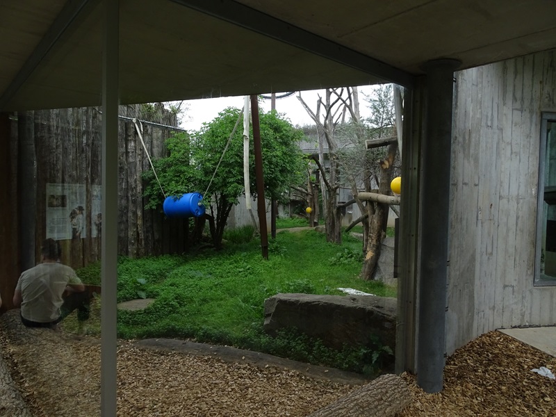 Chimpanzee outdoor enclosure