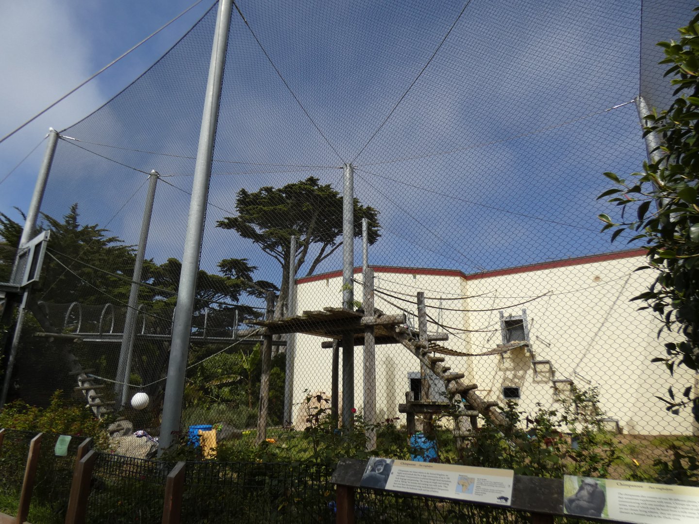 Chimpanzee outdoor enclosure