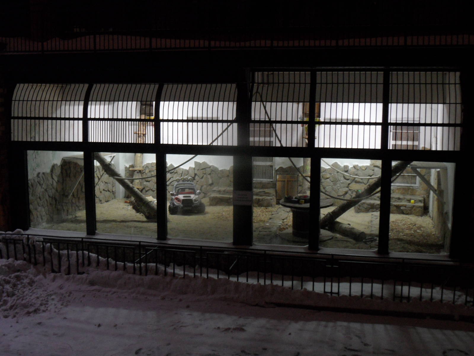 Chimpanzee outdoor exhibit