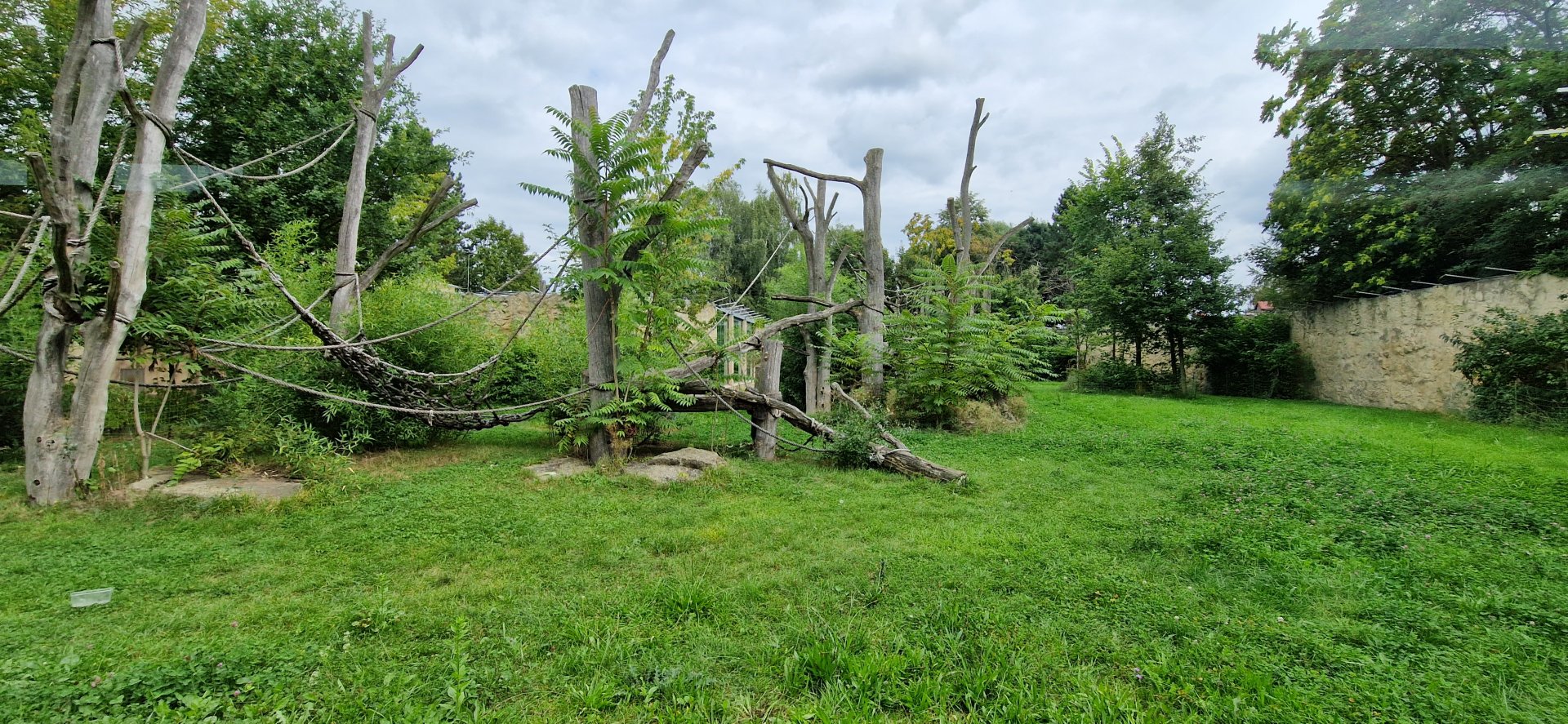 Chimpanzee outdoor exhibit
