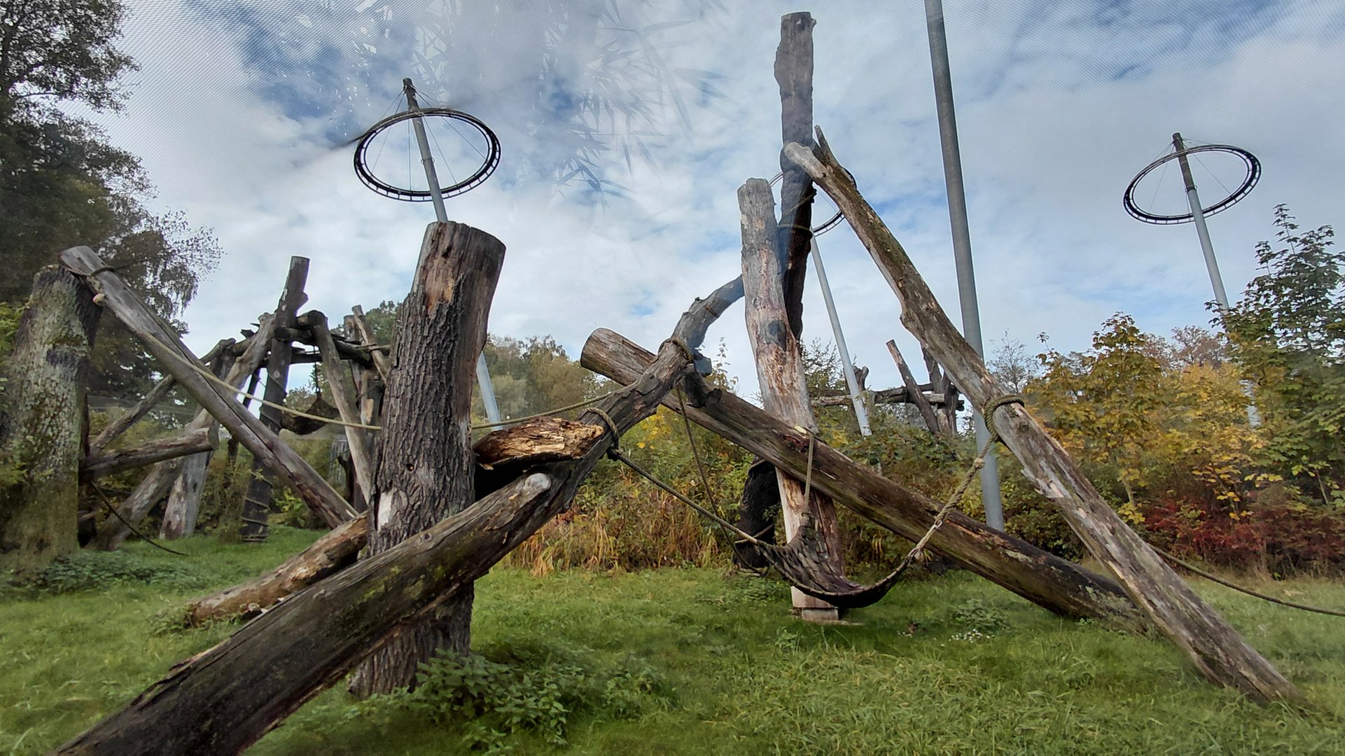 Chimpanzee outdoor exhibit