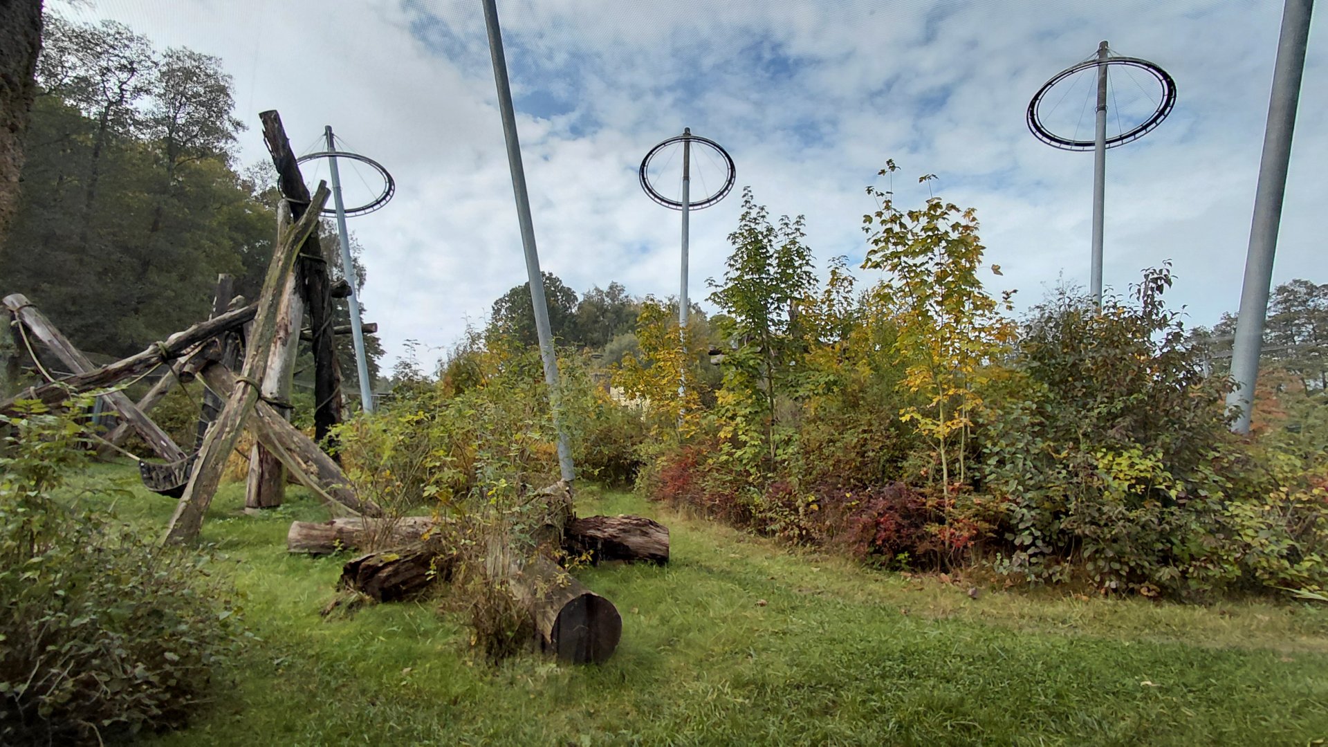 Chimpanzee outdoor exhibit