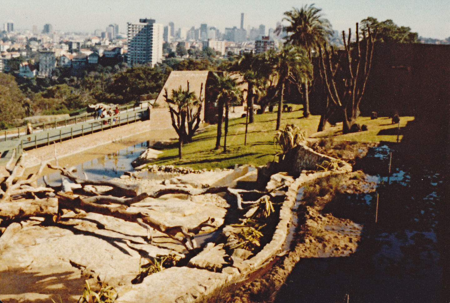 Chimpanzee Park - 1980