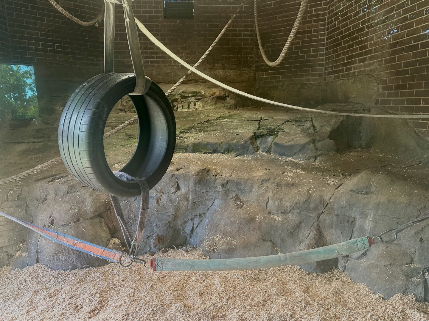 Chimpanzee Park - Cave