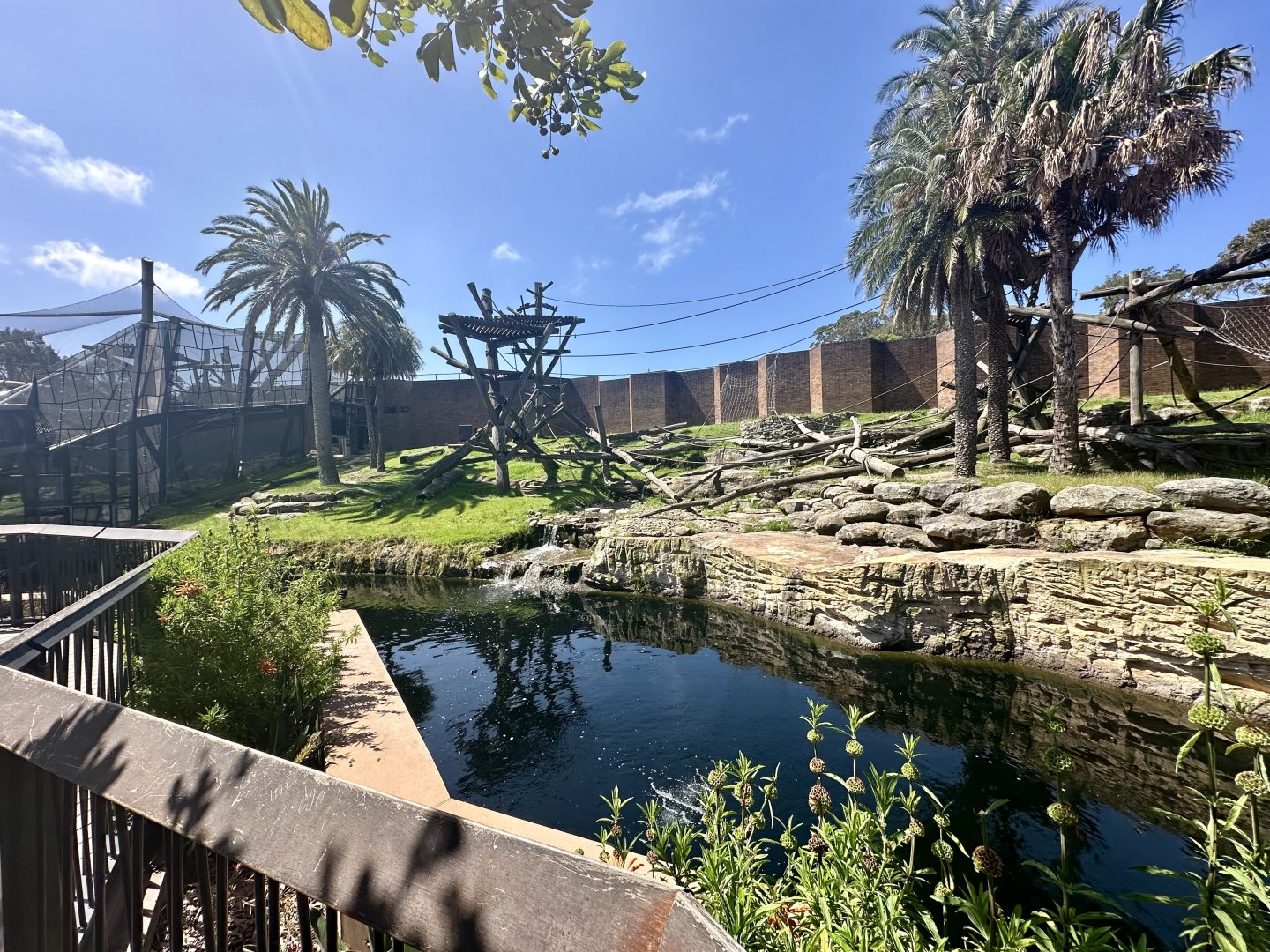 Chimpanzee Park - Main Exhibit