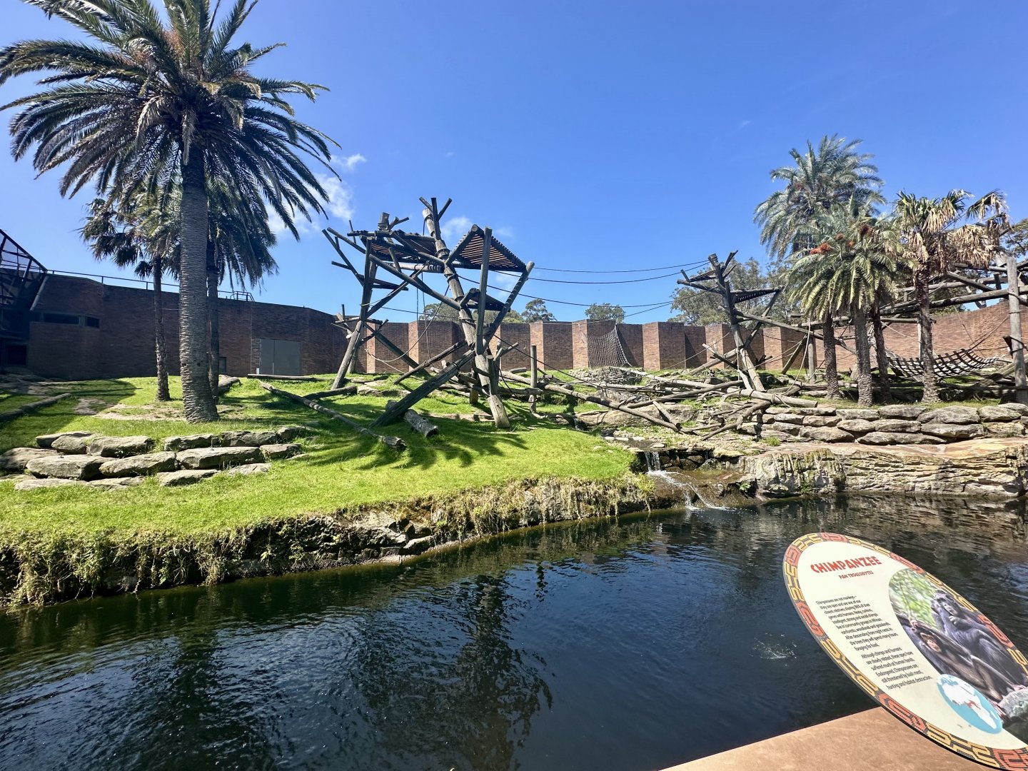 Chimpanzee Park - Main Exhibit