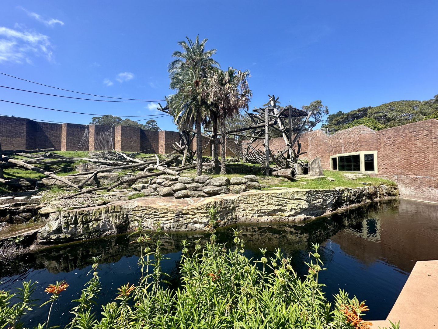 Chimpanzee Park - Main Exhibit
