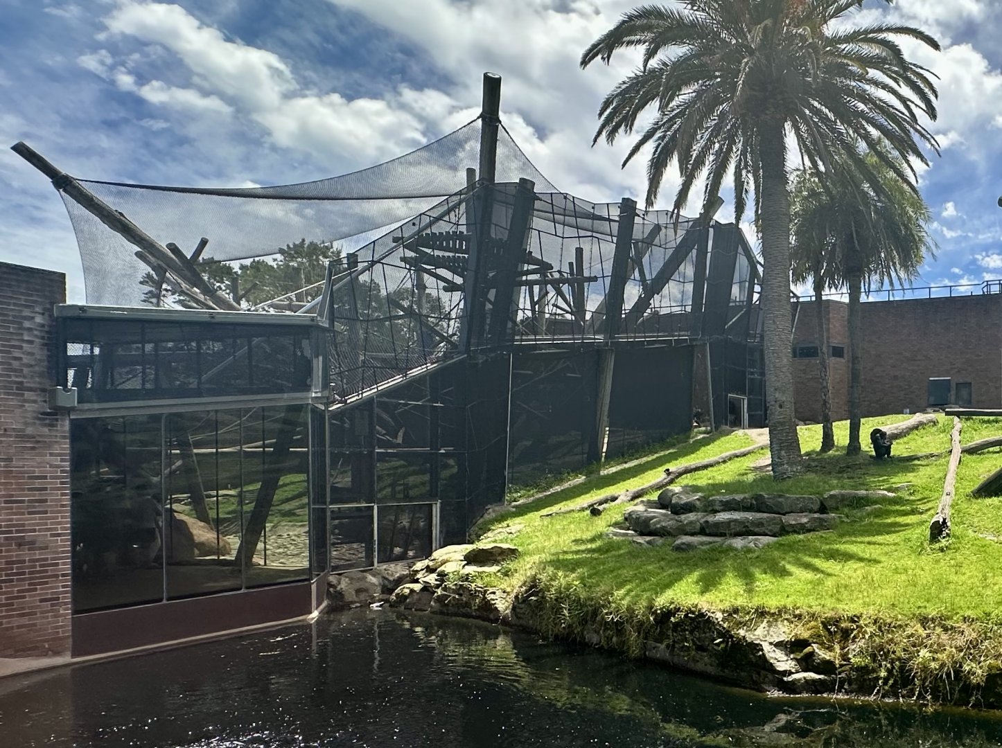 Chimpanzee Park - Netted Exhibit