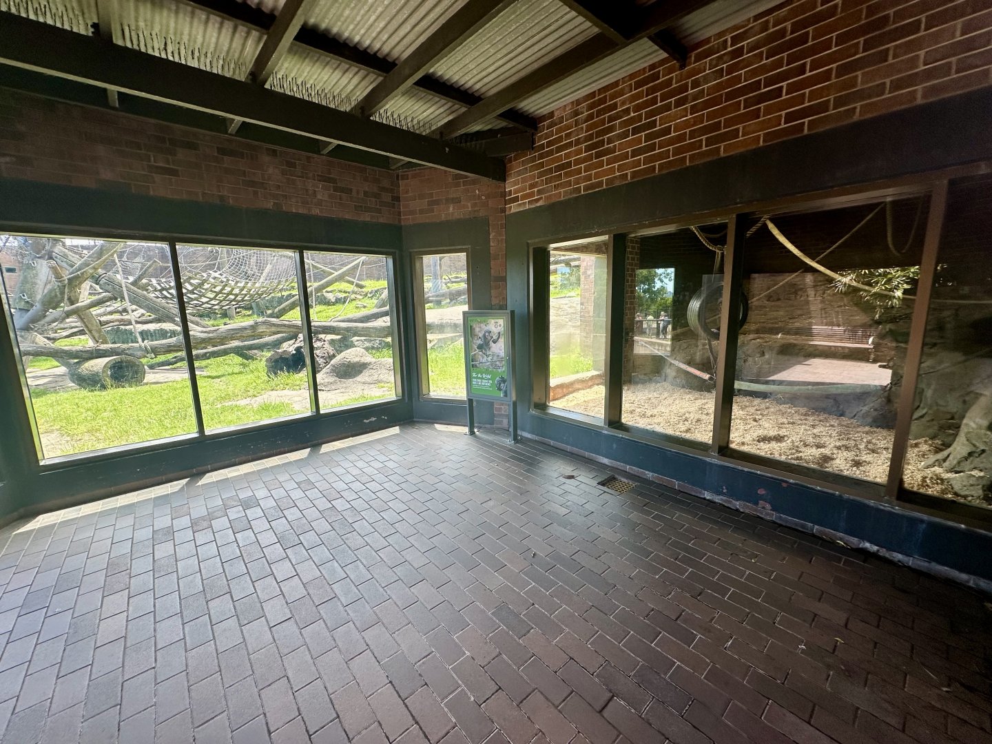 Chimpanzee Park - Viewing Room
