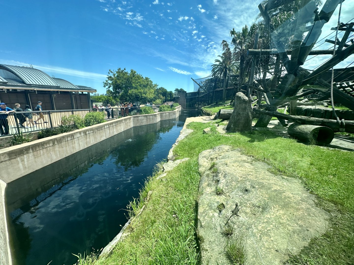 Chimpanzee Park - Viewing Window
