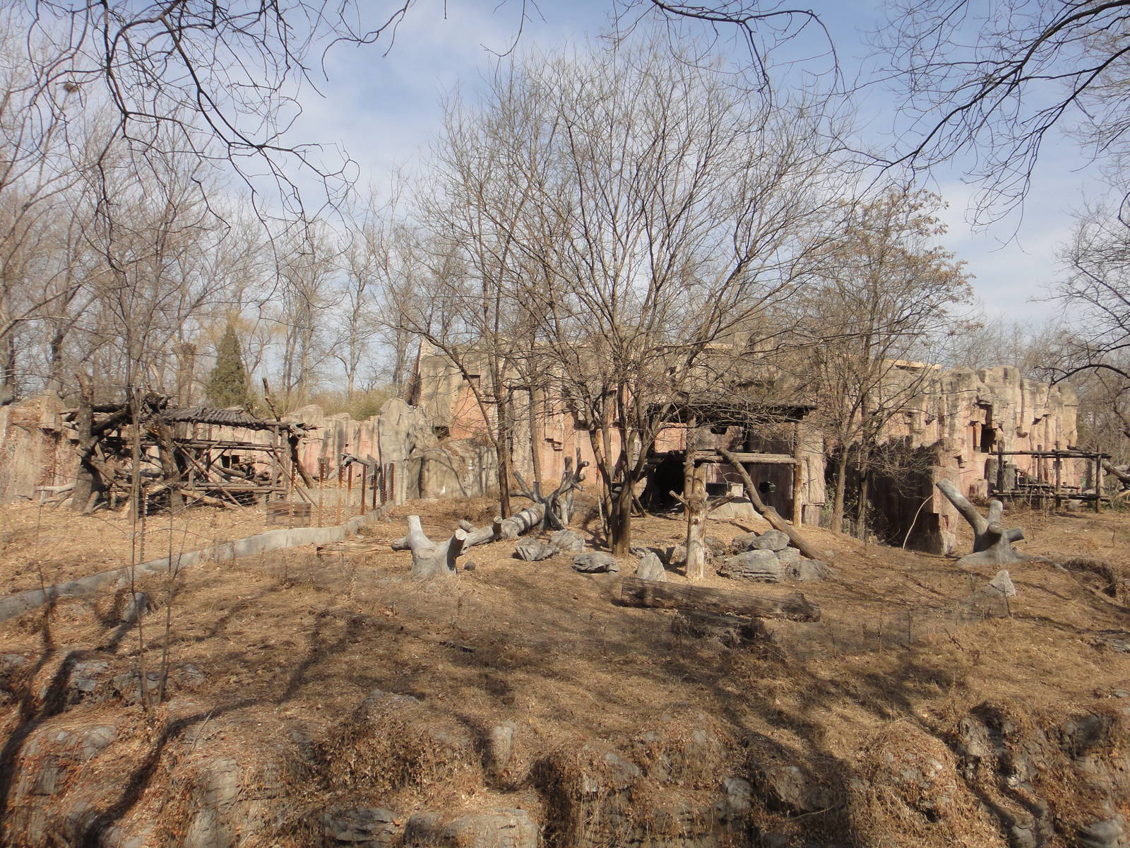 Chimpanzee playground