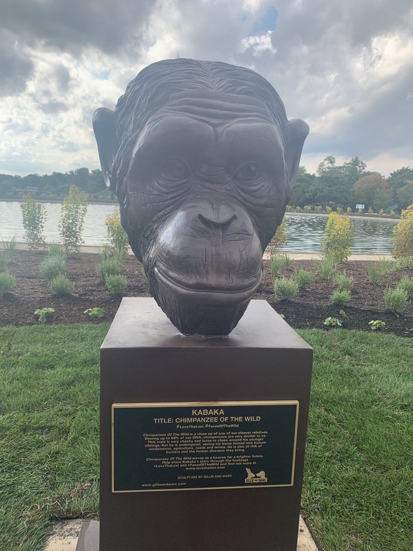 Chimpanzee sculpture