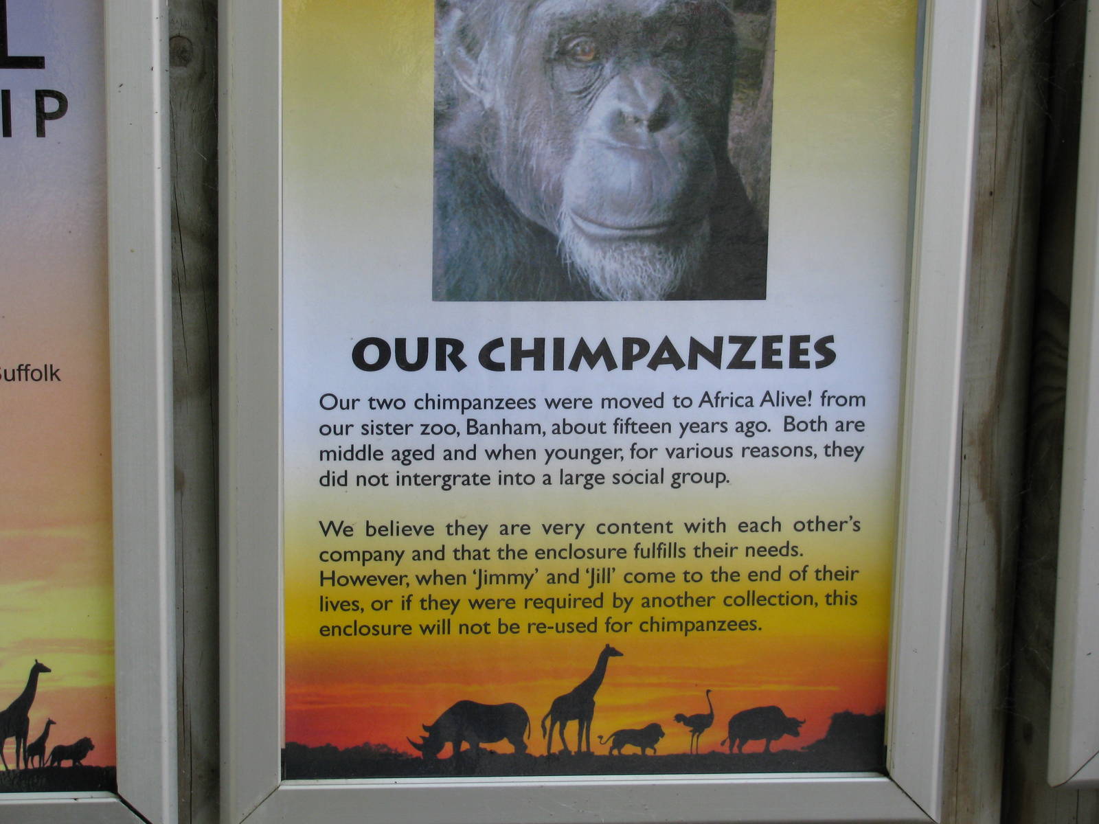 Chimpanzee sign