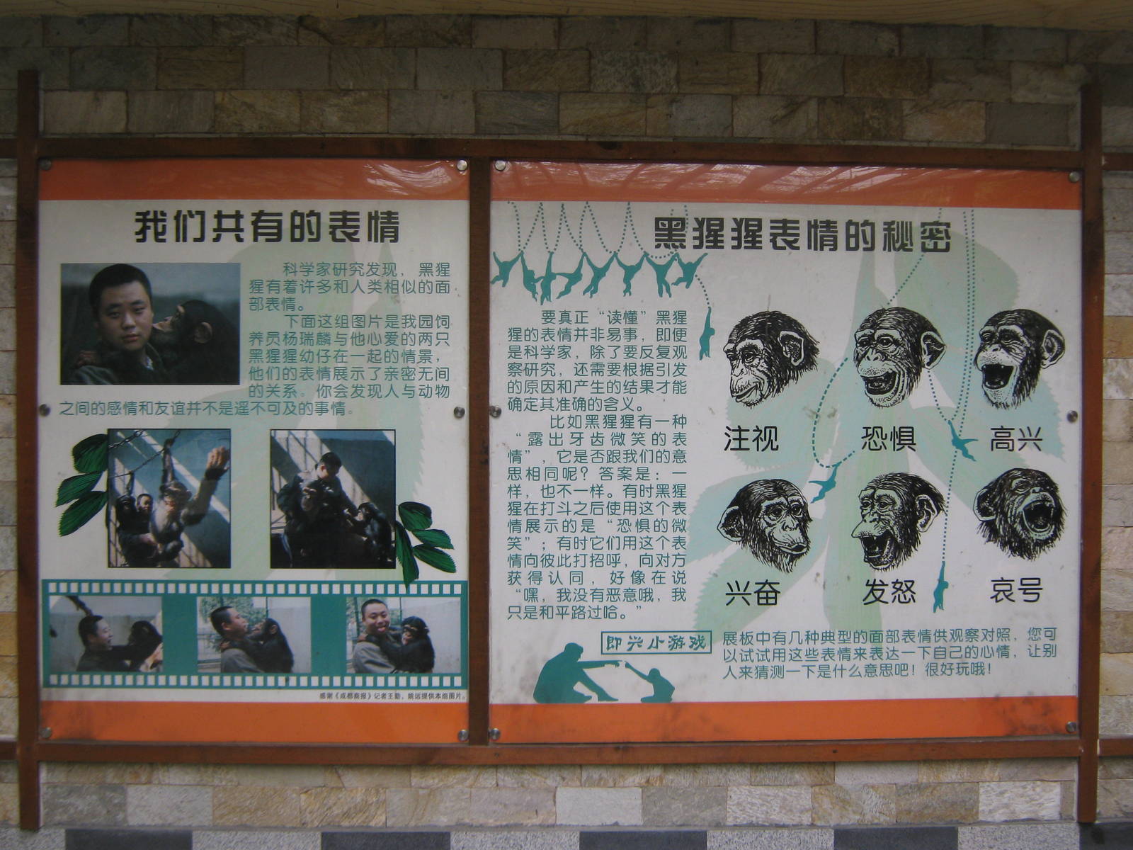 chimpanzee signage