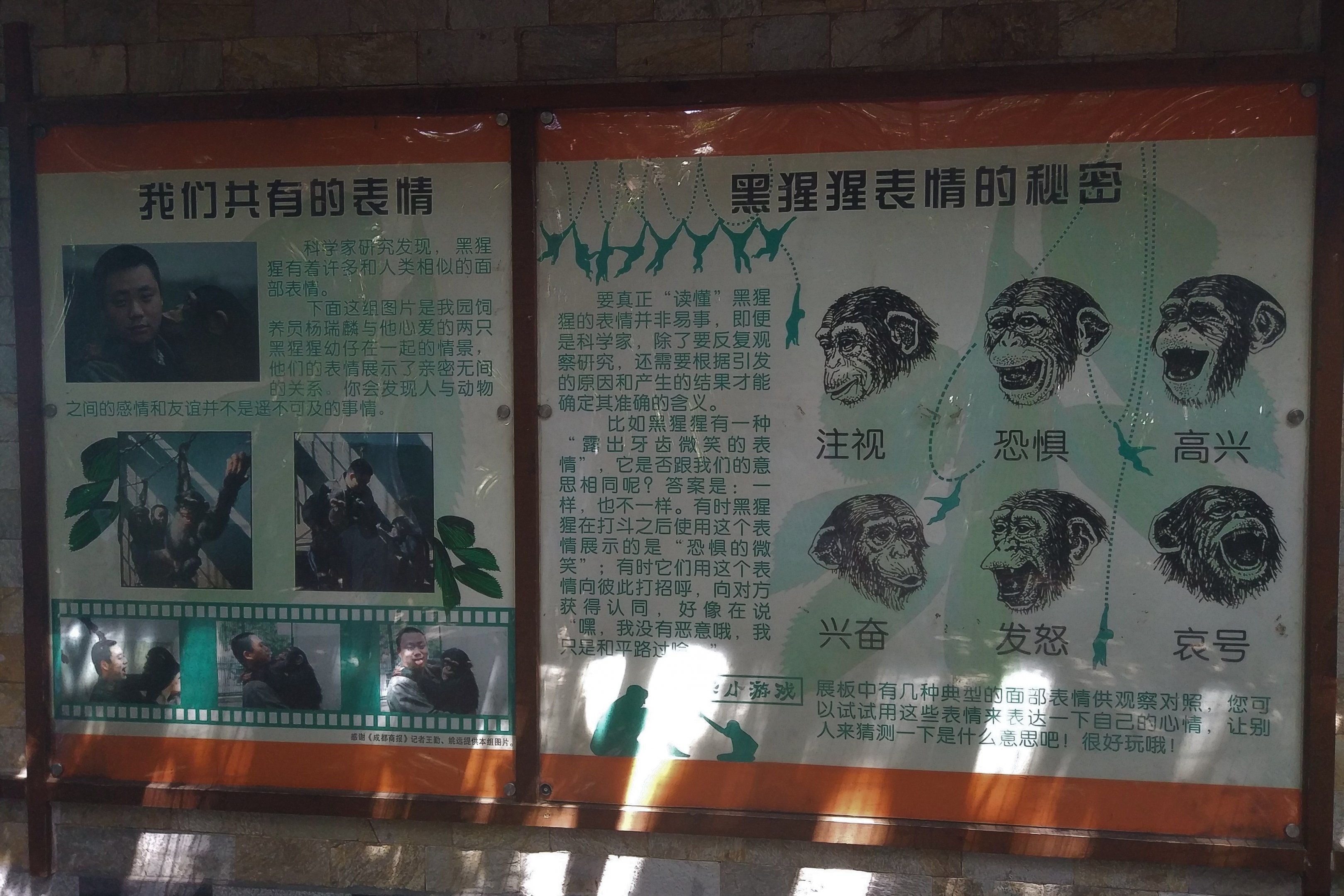 Chimpanzee Signage