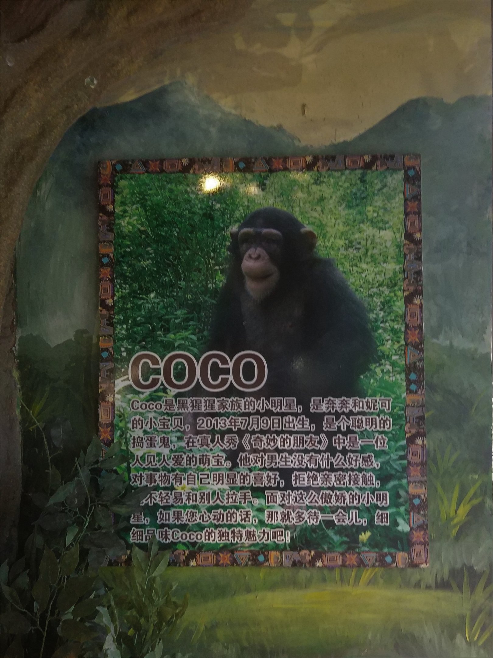 Chimpanzee Signage