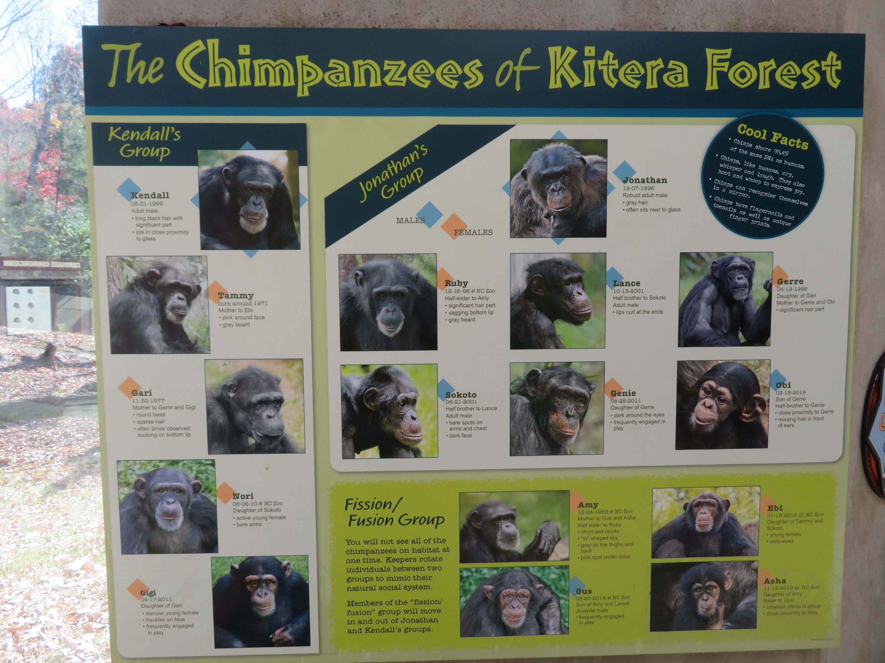 Chimpanzee Signage