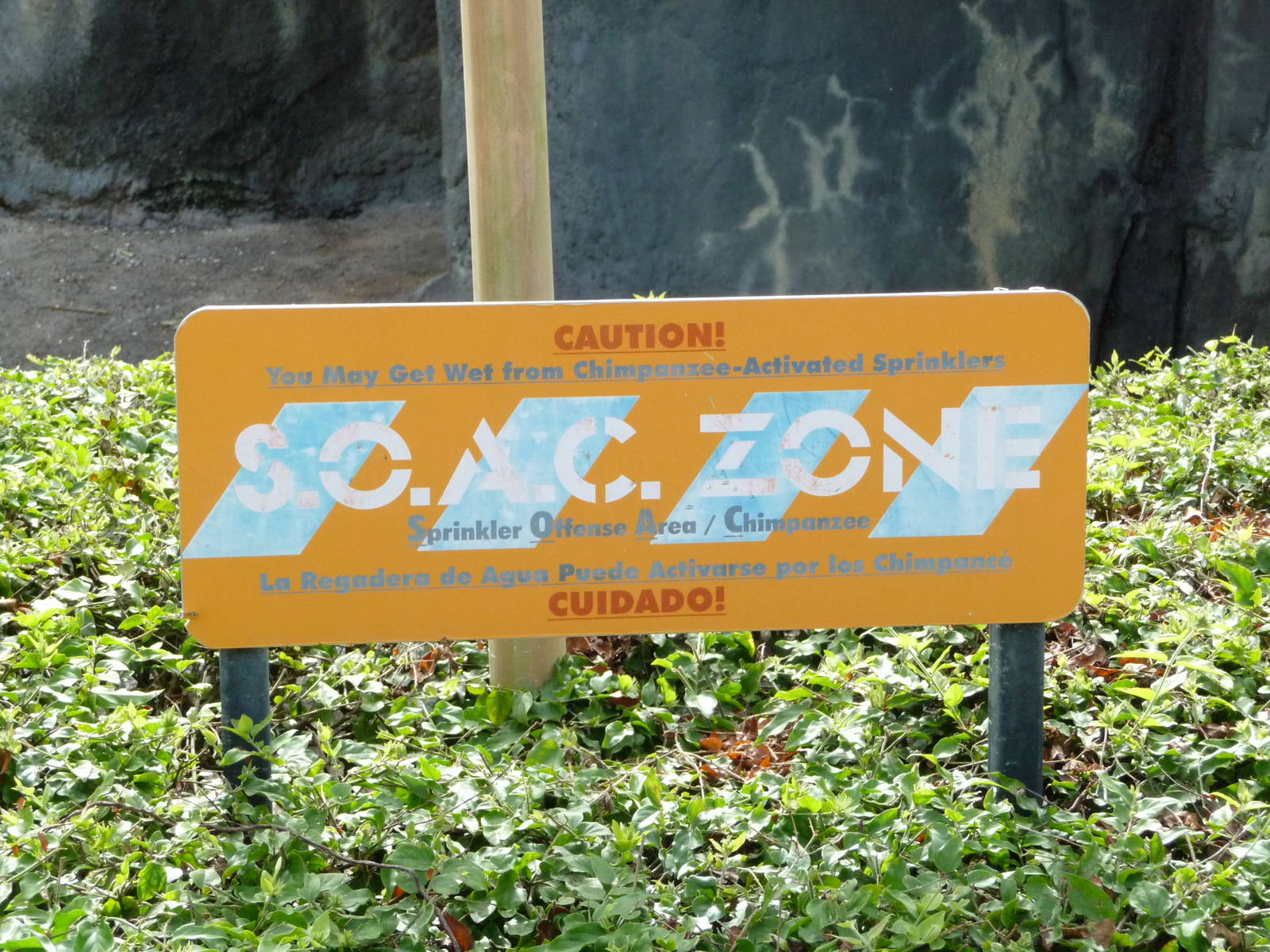 Chimpanzee Splash Zone