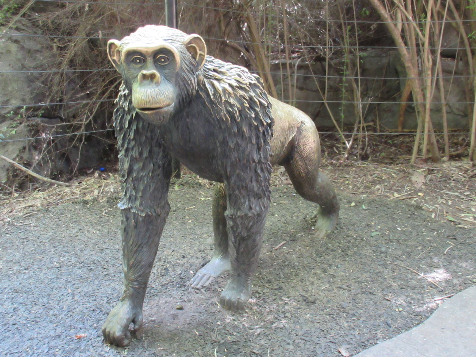 Chimpanzee Statue