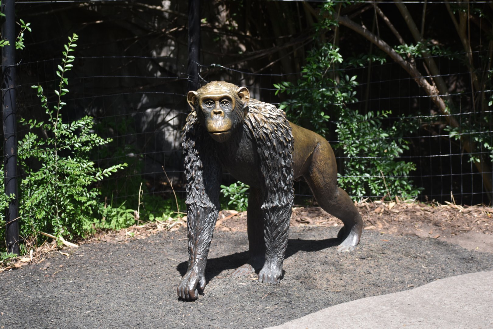 Chimpanzee Statue
