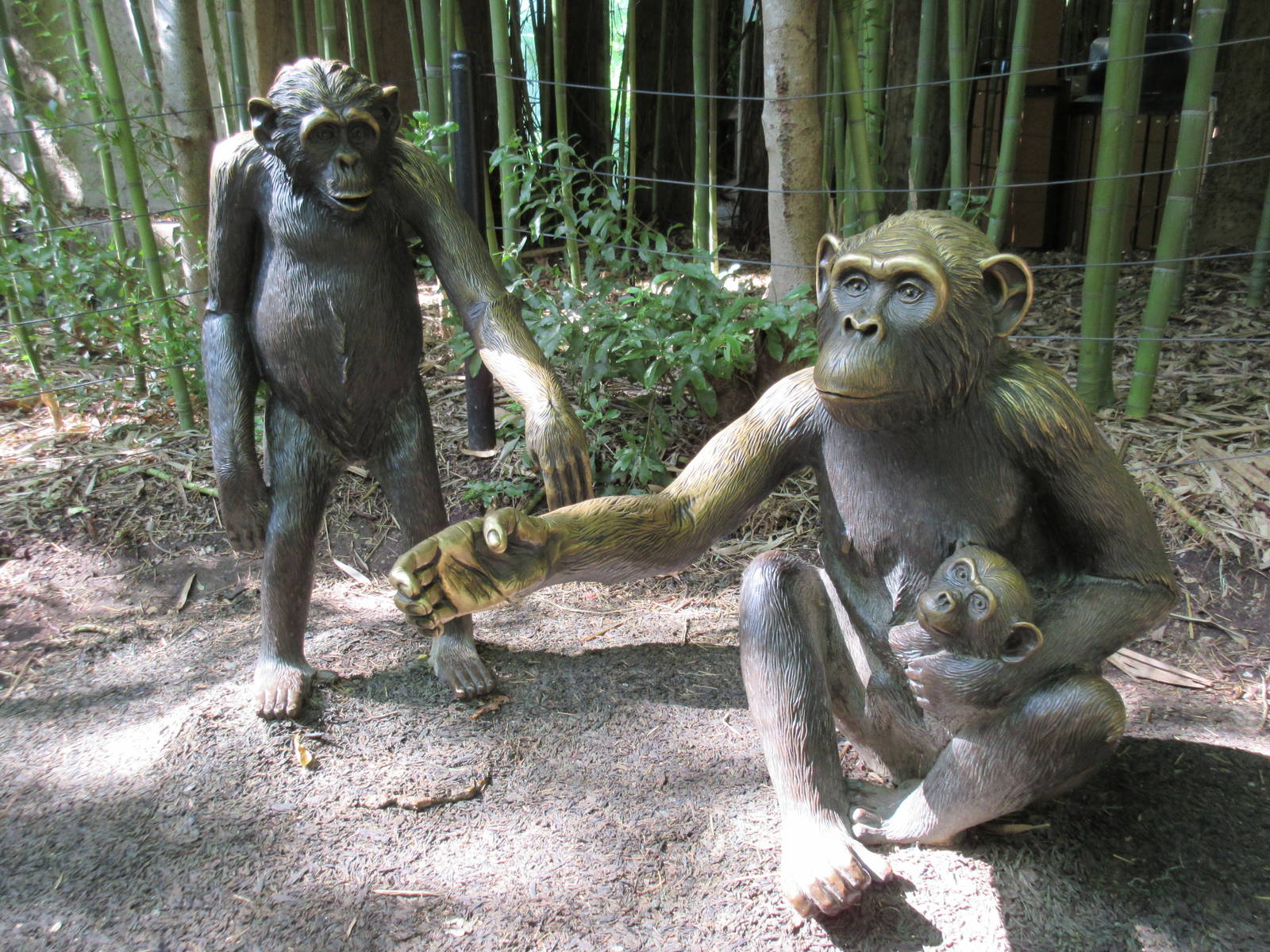 Chimpanzee Statues
