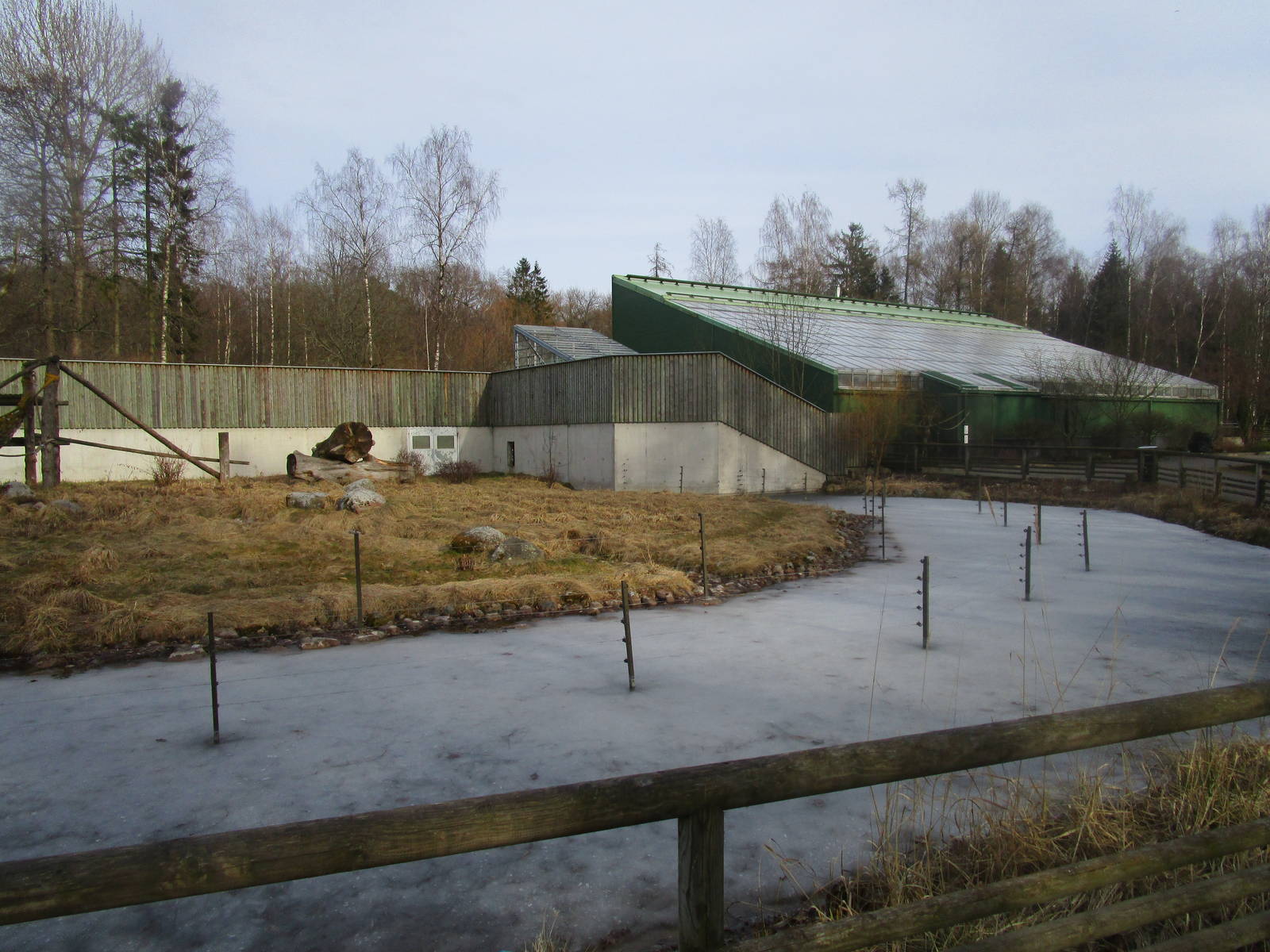 Chimpanzee Summer Enclosure - 25/03/15