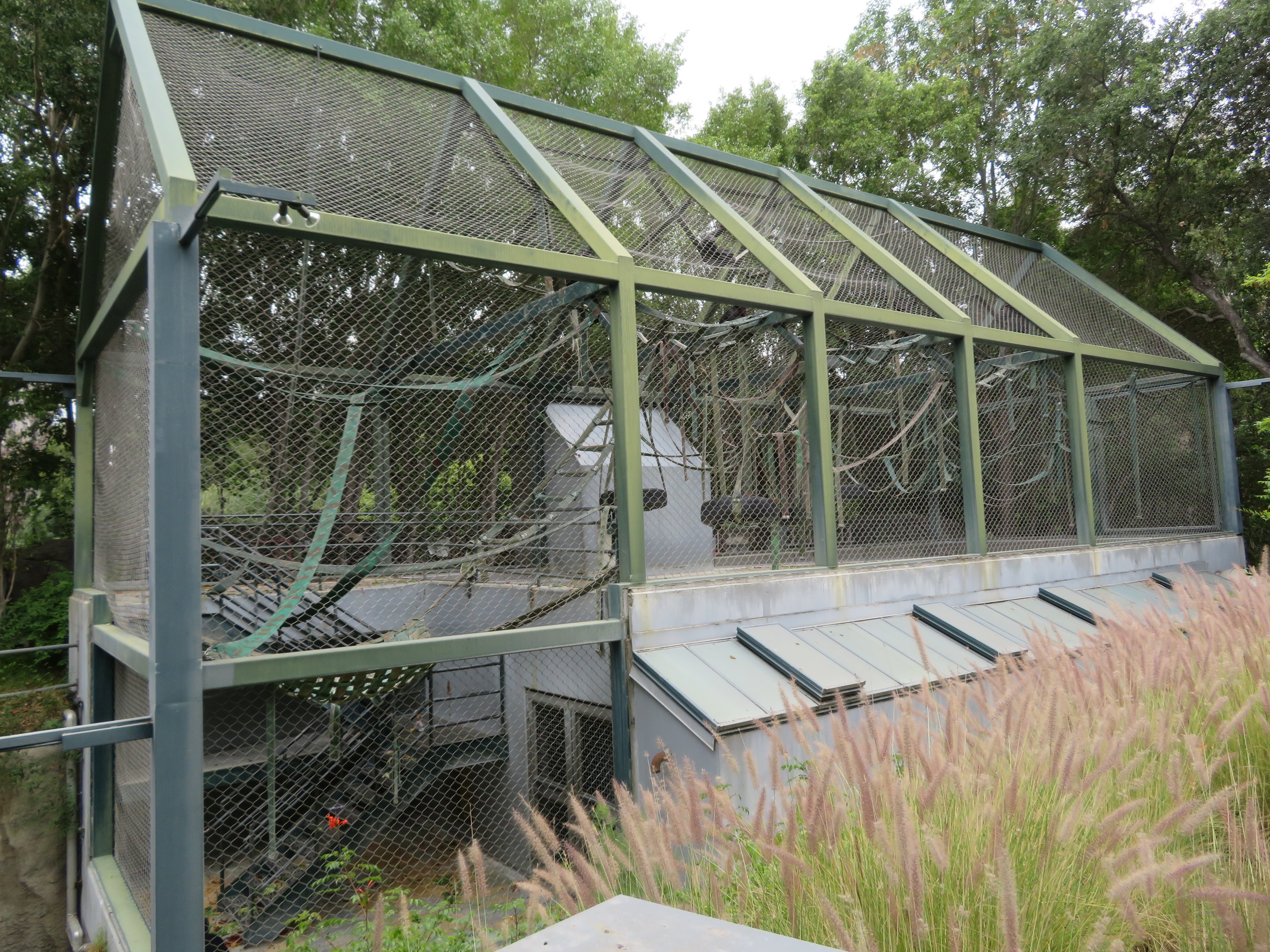 Chimpanzee Upper Exhibit