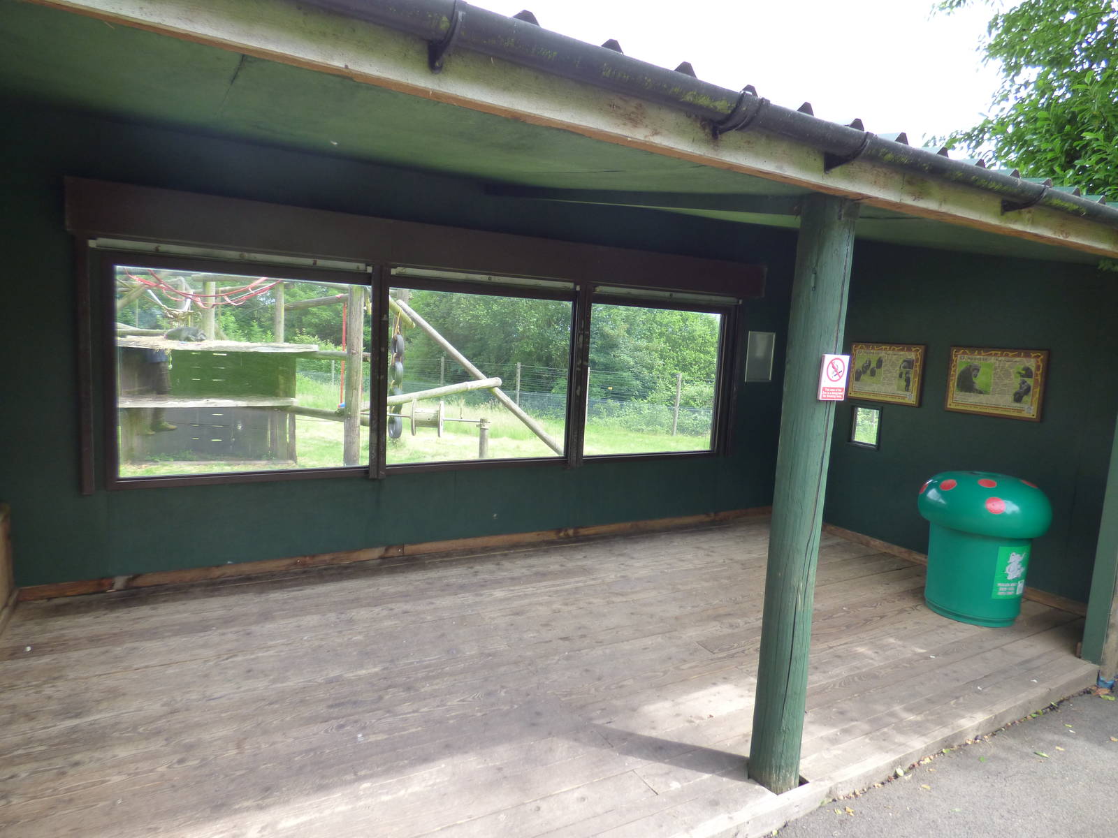 Chimpanzee Viewing Area