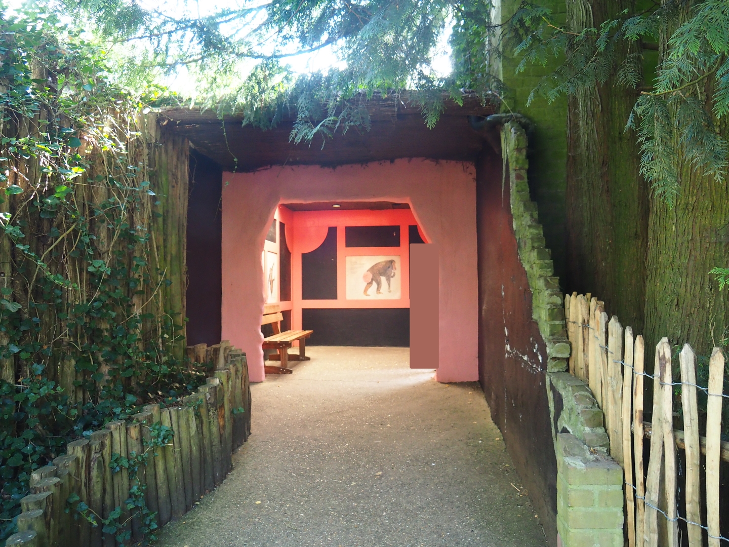 Chimpanzee viewing area