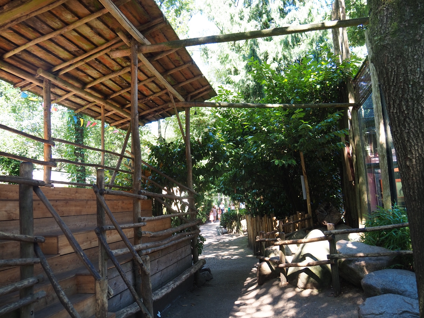 Chimpanzee viewing area