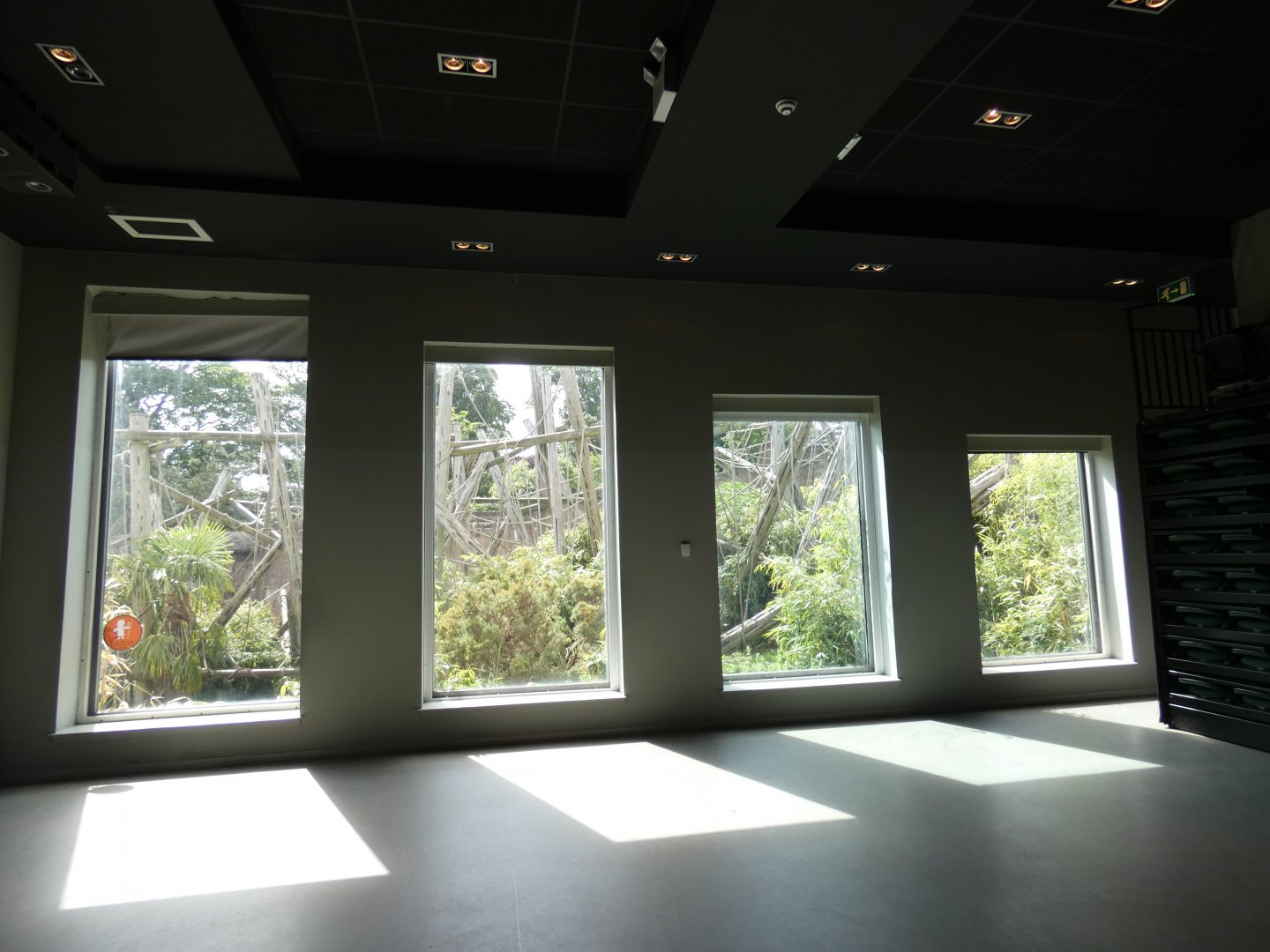 Chimpanzee viewing area