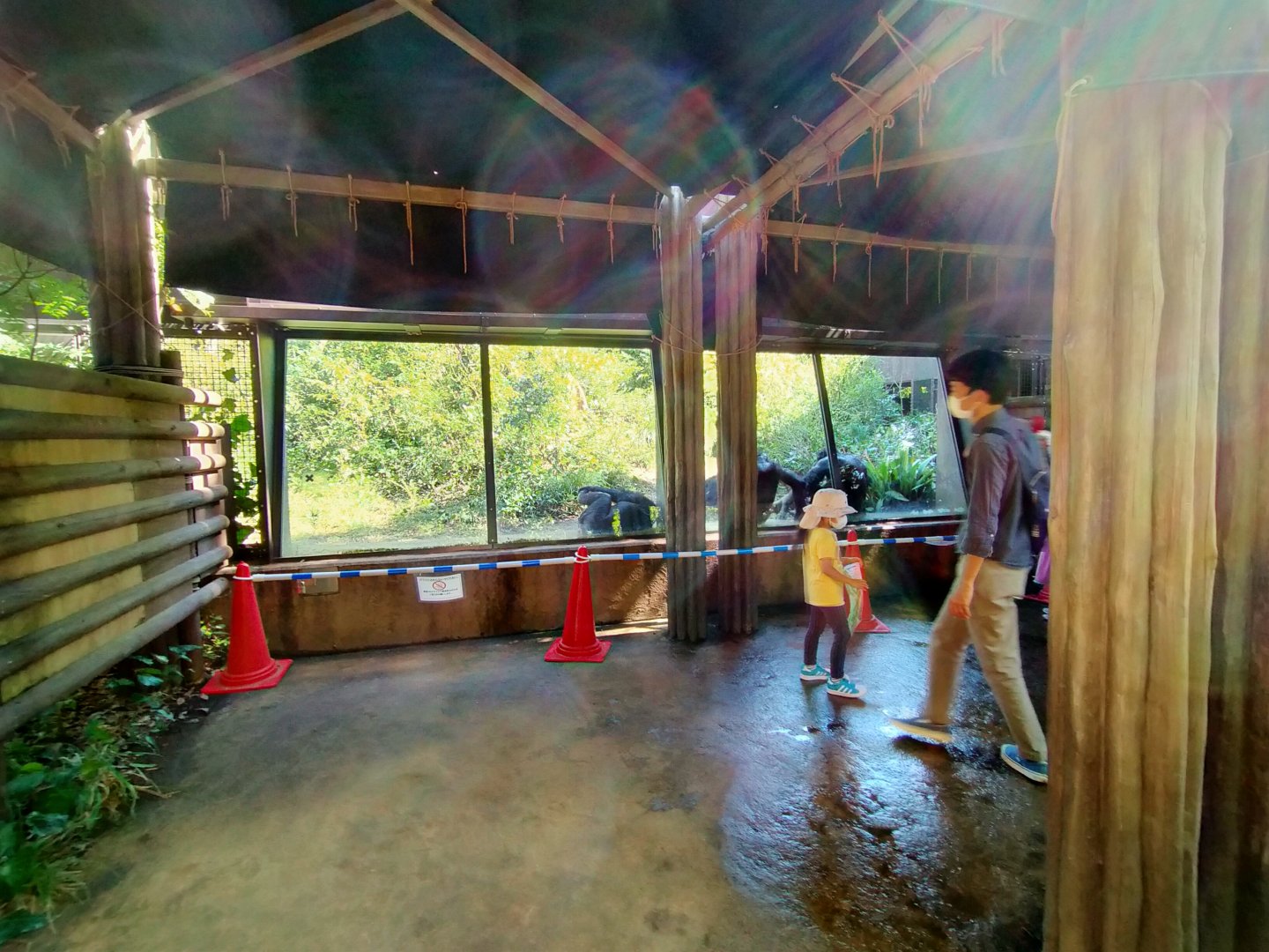 Chimpanzee viewing area