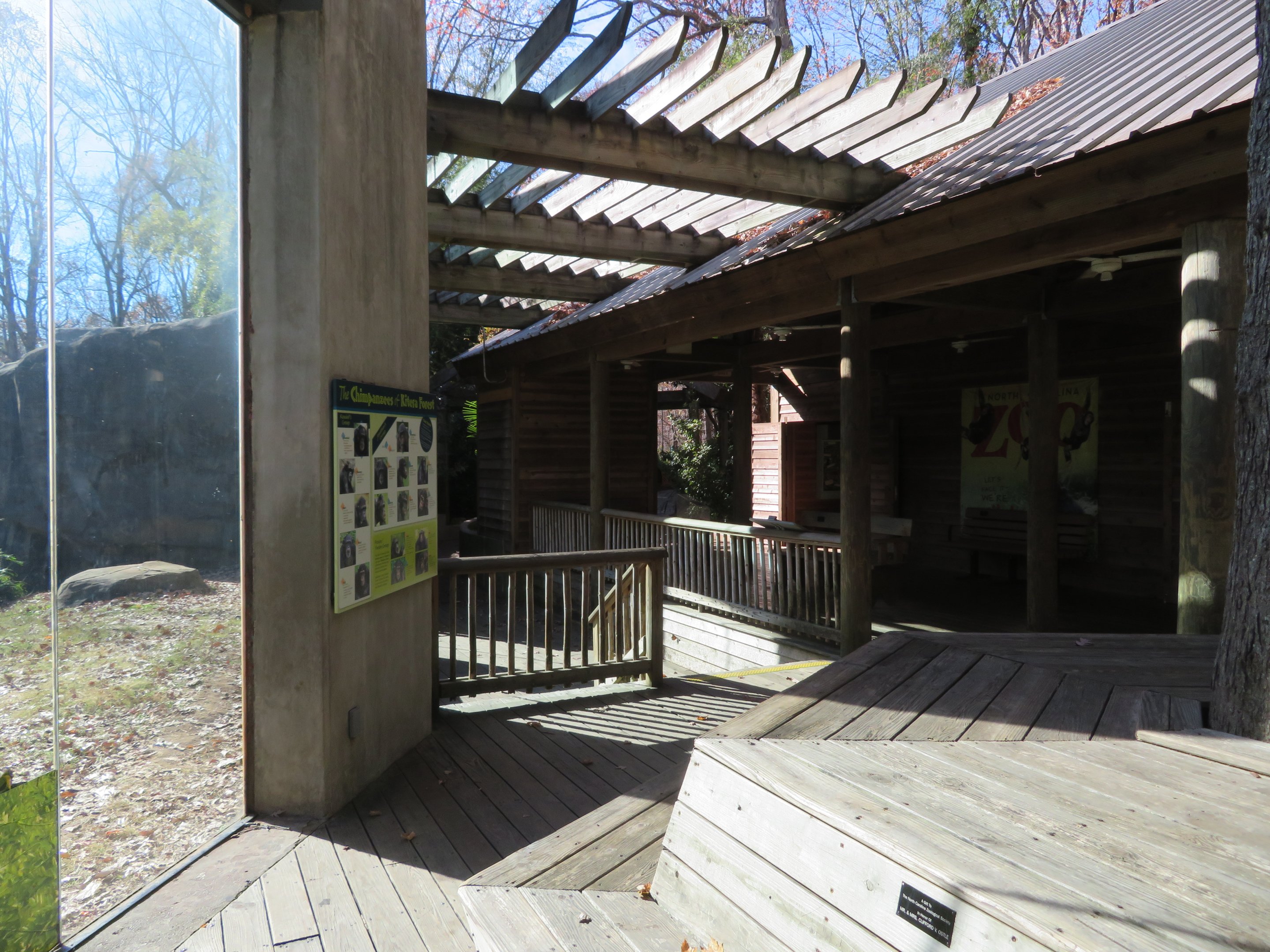 Chimpanzee Viewing Platform