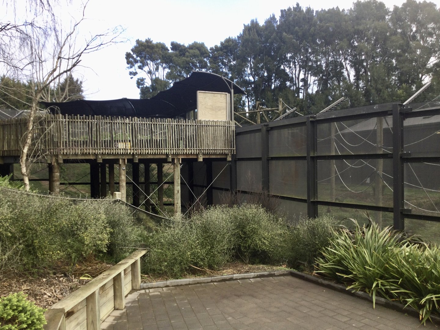 Chimpanzee Viewing Platform