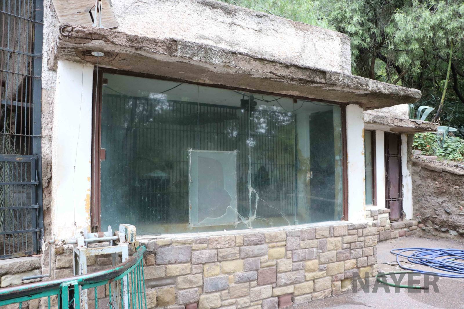 Chimpanzee viewing window - Mendoza Zoo, April 2016