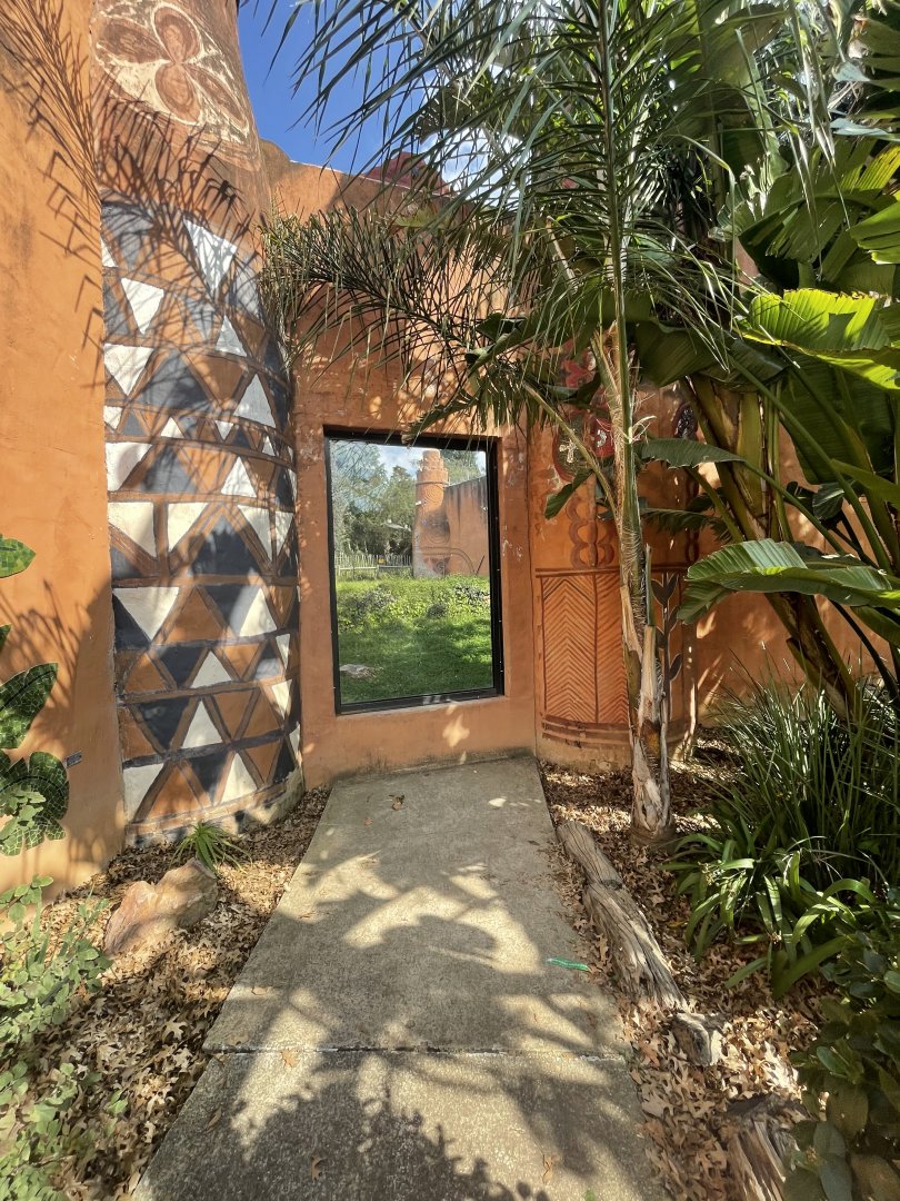 Chimpanzee Viewing Window (Pan troglodytes)