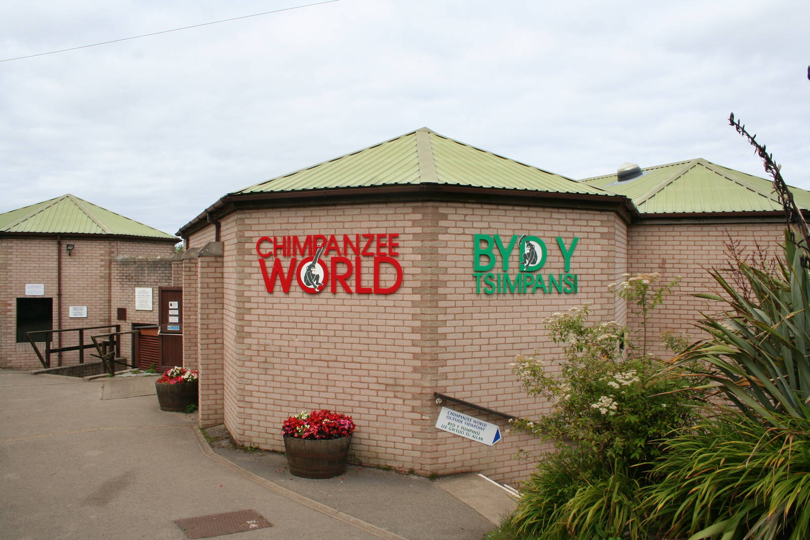 Chimpanzee world indoor area