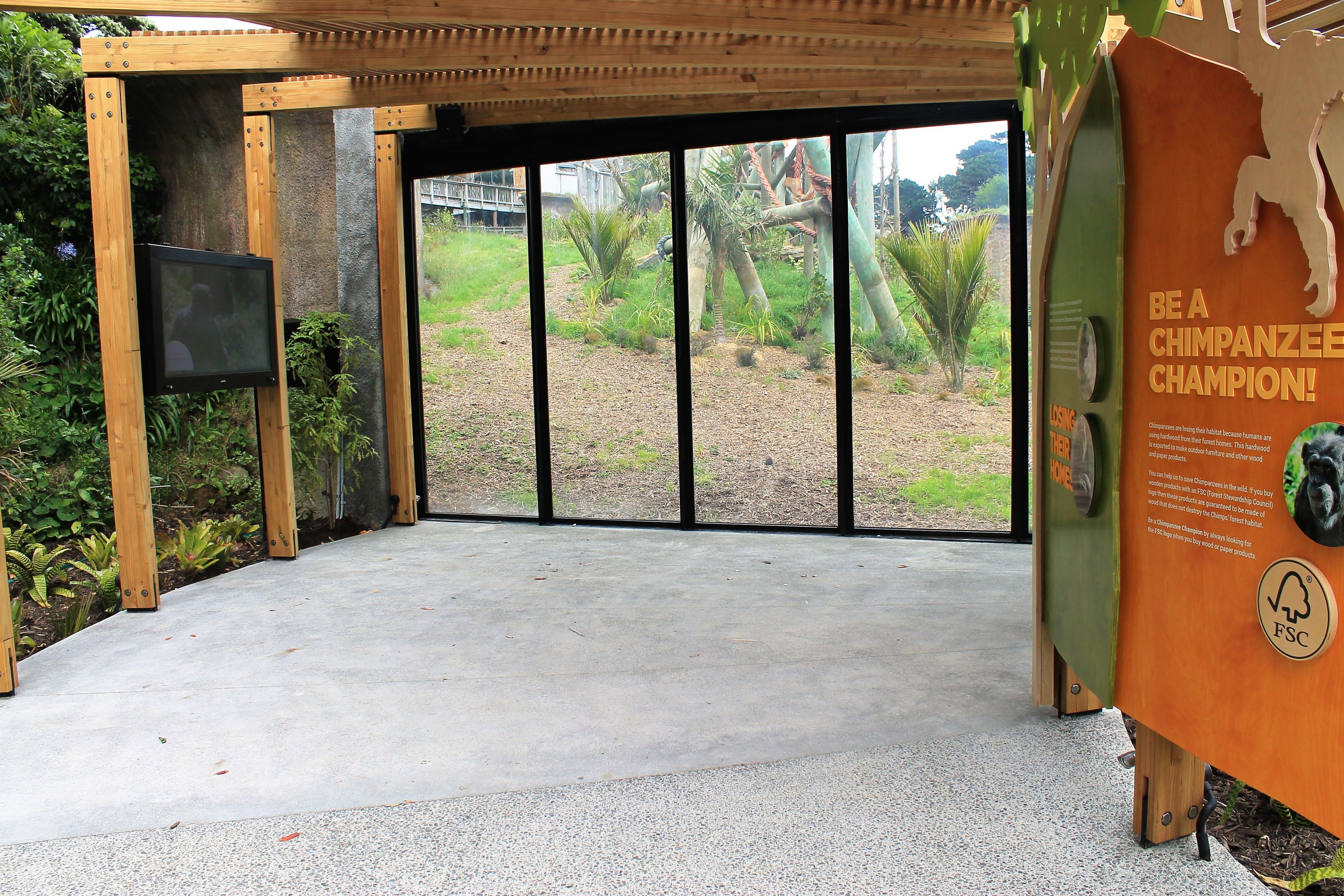 Chimpanzees, new lower viewing area