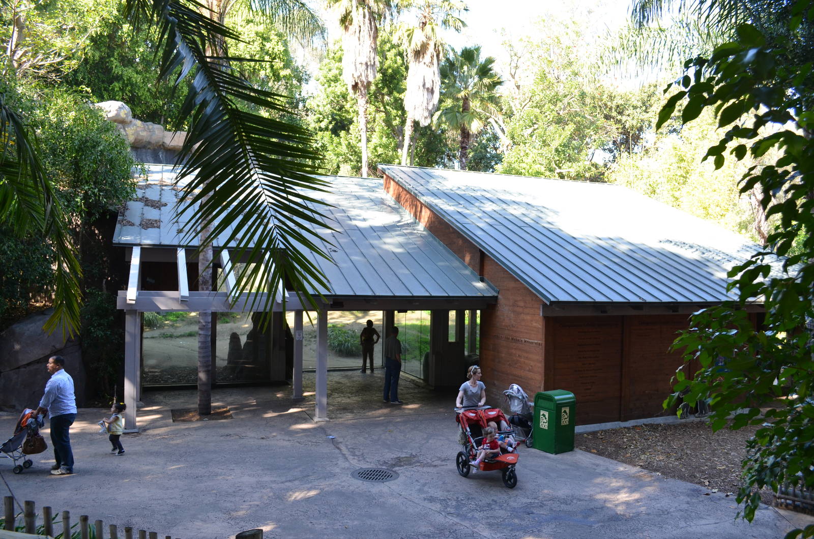 Chimpanzees of the Mahale Mountains Viewing Area