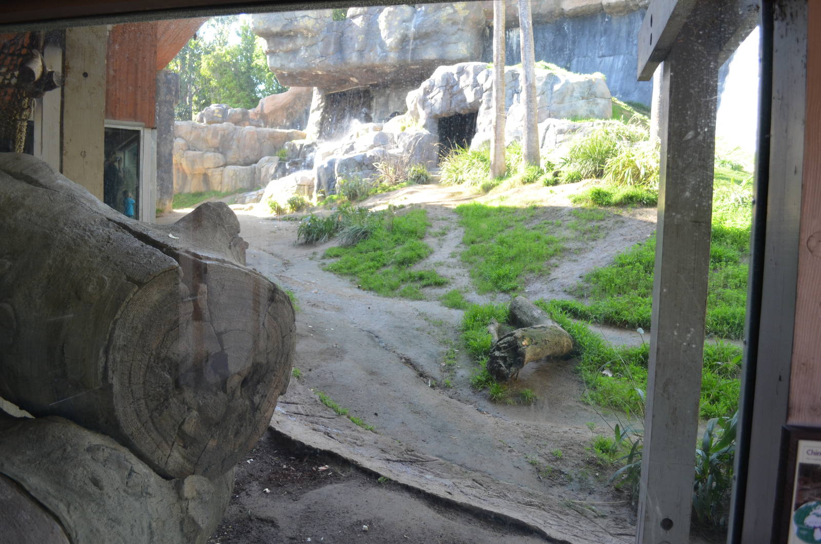 Chimpanzees of the Mahale Mountains