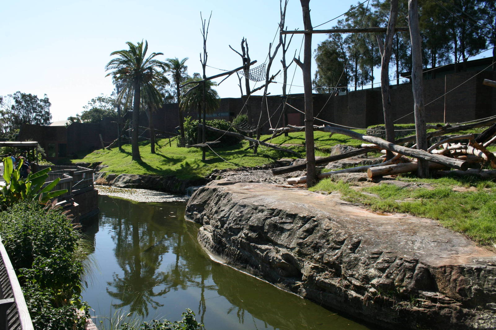 chimps enclosure at Taronga . 5/3/2008