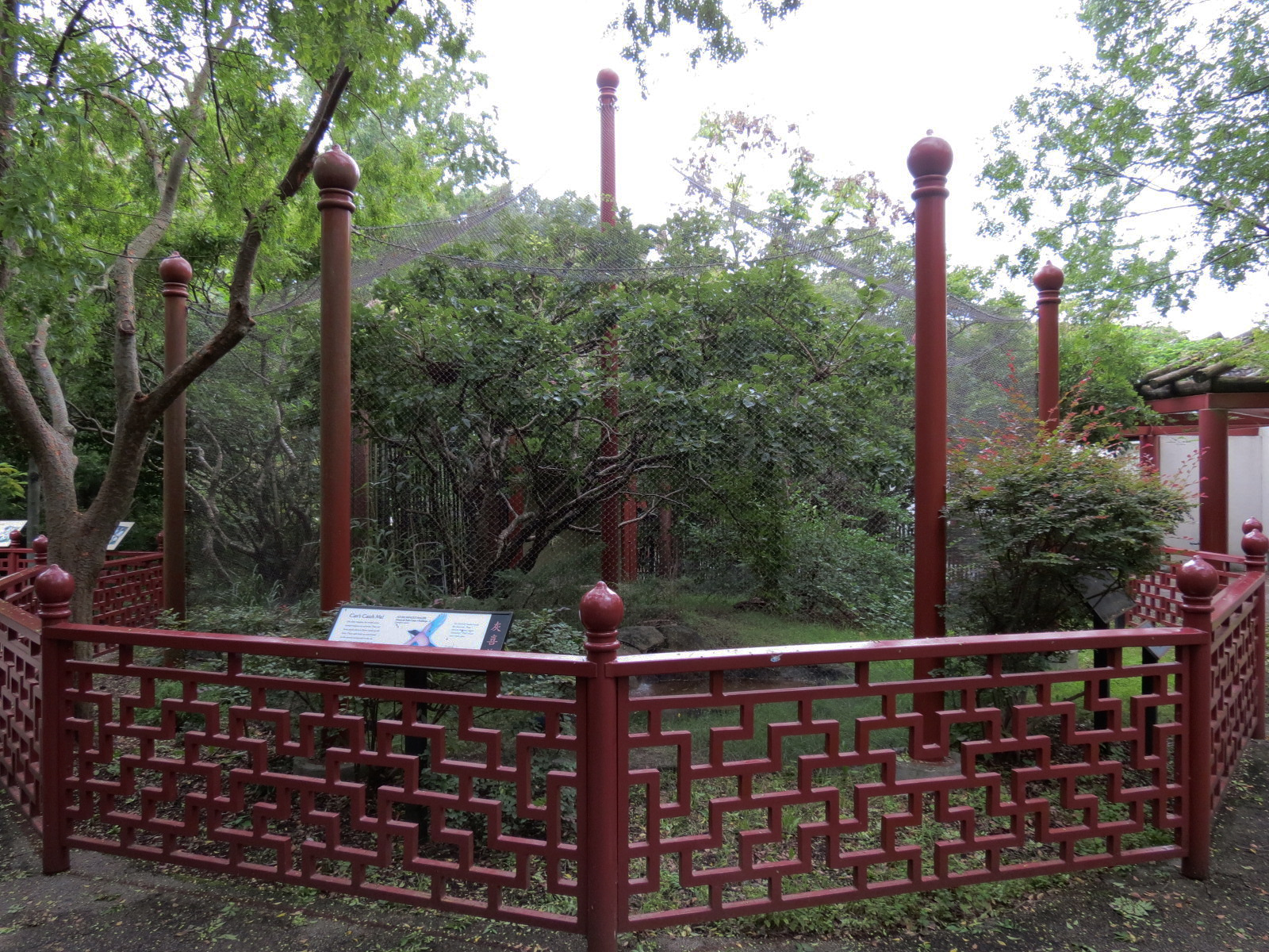 CHINA - Azure-winged Magpie and Edward's Pheasant Exhibit