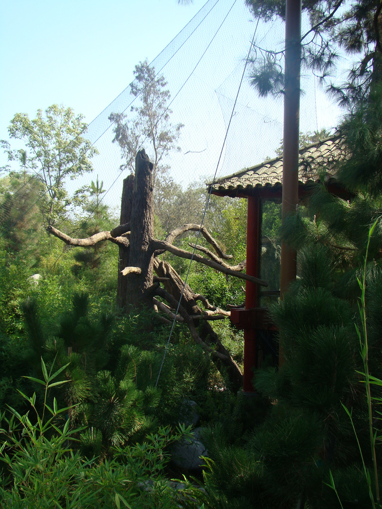 China exhibit at the Los Angeles Zoo