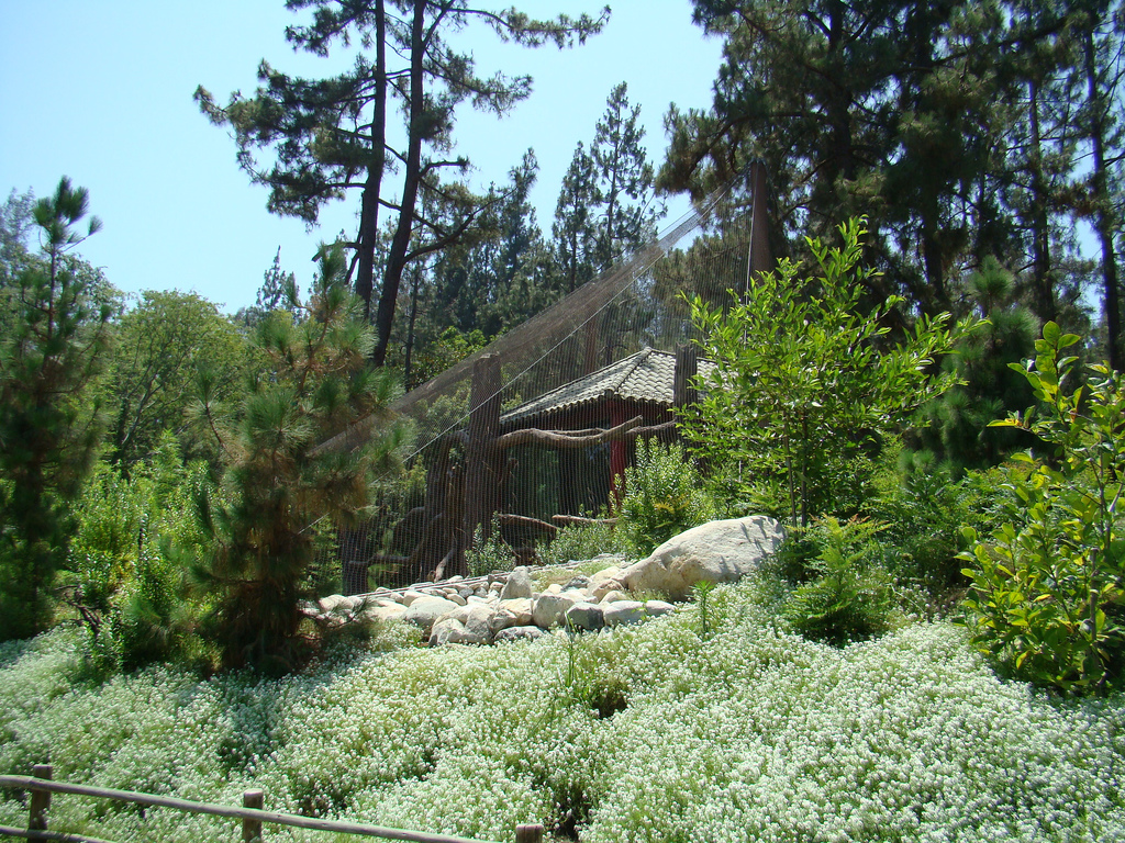 China exhibit at the Los Angeles Zoo