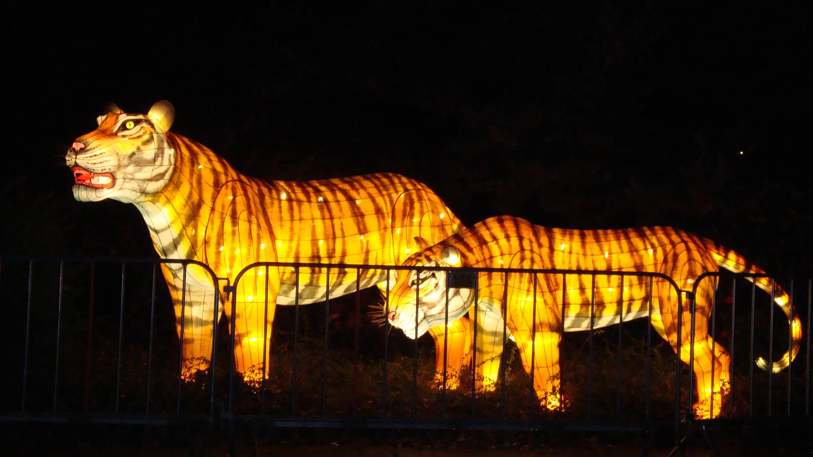 China Festival of lights