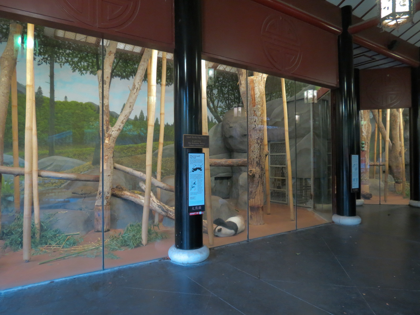 CHINA - Giant Panda Indoor Bedroom 1